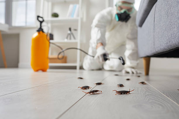 Commercial Kitchen Cockroach Control in Oxford